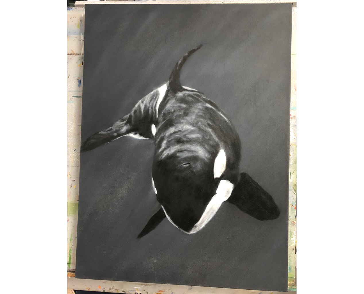 KILLER WHALE