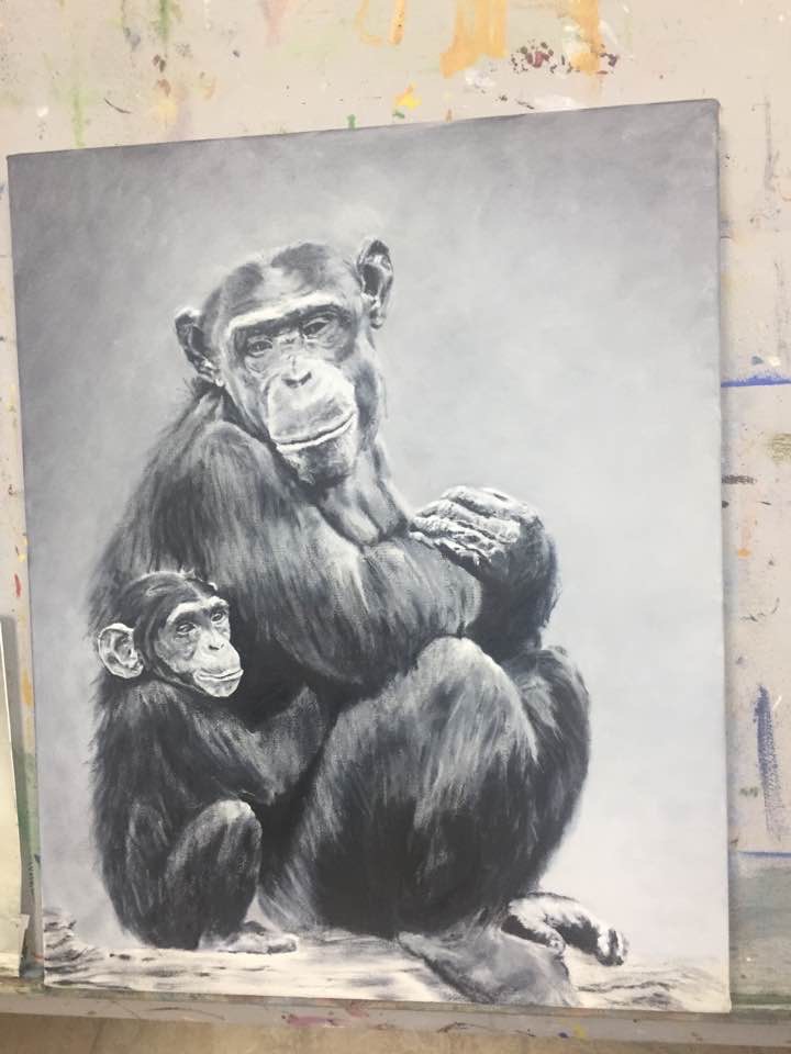 CHIMPANZEES